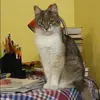 Отзыв от Надежда Любимова